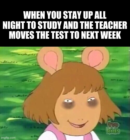 DW tired | WHEN YOU STAY UP ALL NIGHT TO STUDY AND THE TEACHER MOVES THE TEST TO NEXT WEEK | image tagged in dw tired | made w/ Imgflip meme maker