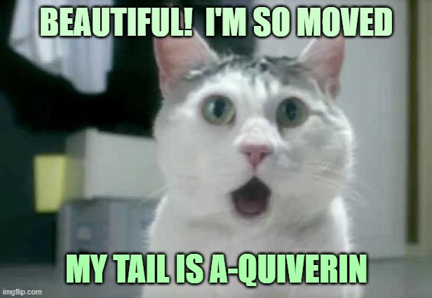 ◄► Reaction: Cat—Beautiful! ...my tail is a quiverin' | BEAUTIFUL!  I'M SO MOVED MY TAIL IS A-QUIVERIN | image tagged in omg cat,beautiful,cats,quiver,comment,reaction | made w/ Imgflip meme maker