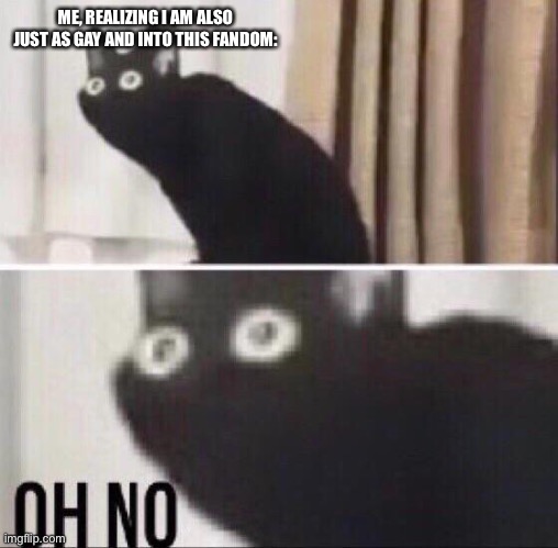 Oh no cat | ME, REALIZING I AM ALSO JUST AS GAY AND INTO THIS FANDOM: | image tagged in oh no cat | made w/ Imgflip meme maker