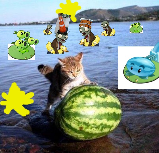 Pvz be like: | image tagged in argument invalid watermelon cat | made w/ Imgflip meme maker