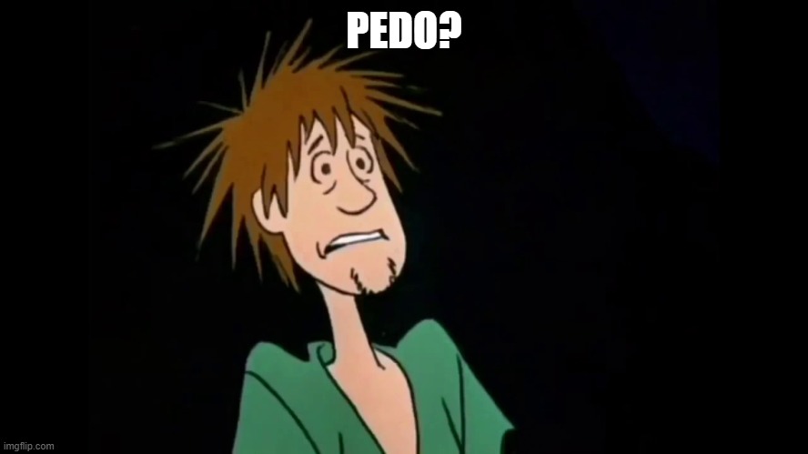 Zoinks | PEDO? | image tagged in zoinks | made w/ Imgflip meme maker