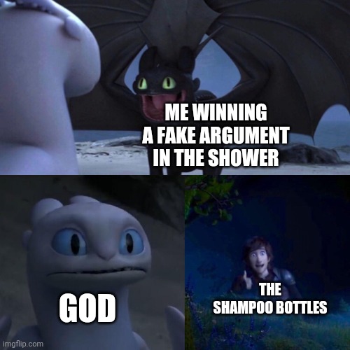 It Do Be Like That Sometimes | ME WINNING A FAKE ARGUMENT IN THE SHOWER; GOD; THE SHAMPOO BOTTLES | image tagged in night fury,thumbs up | made w/ Imgflip meme maker