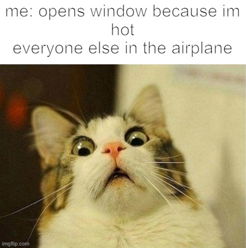 AAAAAAAAAAAAAAAAA | me: opens window because im
hot
everyone else in the airplane | image tagged in memes,scared cat | made w/ Imgflip meme maker