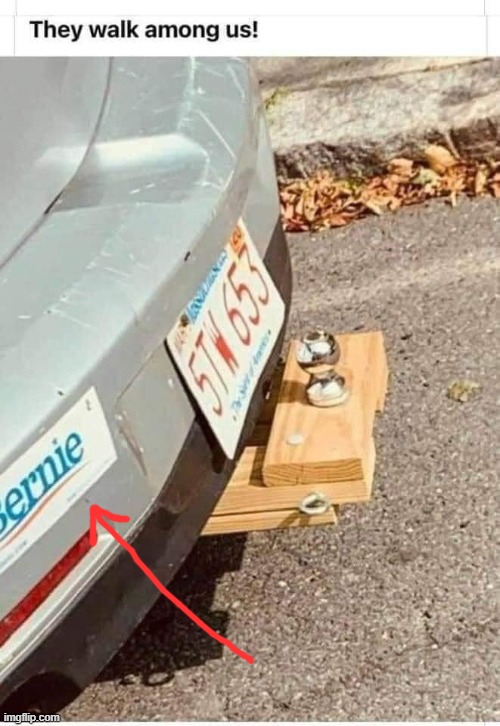 image tagged in bernie sanders | made w/ Imgflip meme maker