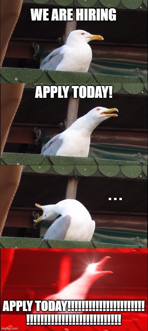 Inhaling Seagull | WE ARE HIRING; APPLY TODAY! . . . APPLY TODAY!!!!!!!!!!!!!!!!!!!!!!
!!!!!!!!!!!!!!!!!!!!!!!!!!! | image tagged in memes,inhaling seagull | made w/ Imgflip meme maker