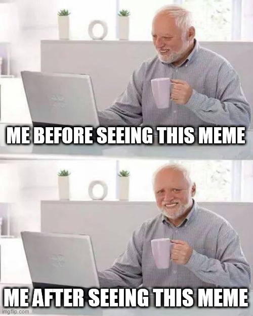 ME BEFORE SEEING THIS MEME ME AFTER SEEING THIS MEME | image tagged in memes,hide the pain harold | made w/ Imgflip meme maker
