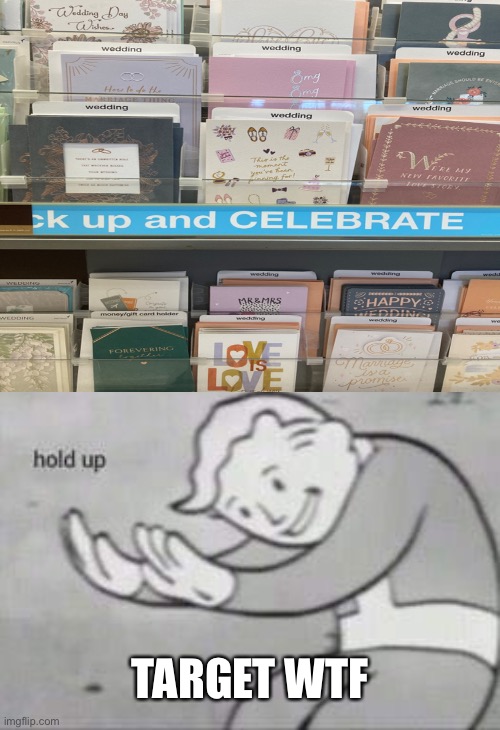 Hold up |  TARGET WTF | image tagged in fallout hold up,memes,wtf,target,oh wow are you actually reading these tags,stop reading the tags | made w/ Imgflip meme maker