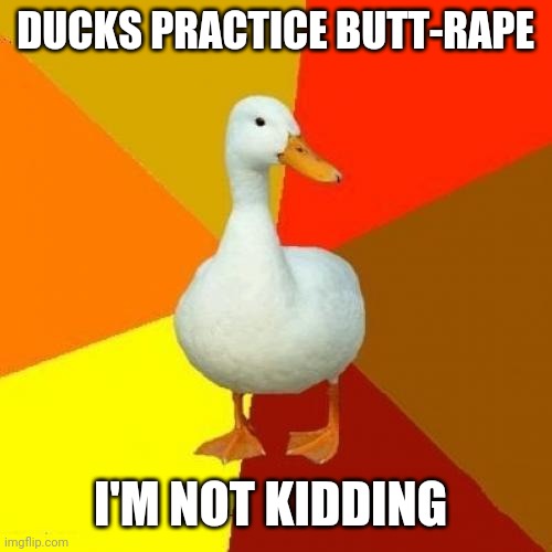 Tech Impaired Duck Meme | DUCKS PRACTICE BUTT-RAPE I'M NOT KIDDING | image tagged in memes,tech impaired duck | made w/ Imgflip meme maker