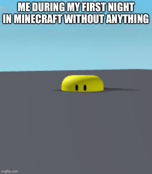 ME DURING MY FIRST NIGHT IN MINECRAFT WITHOUT ANYTHING | made w/ Imgflip meme maker