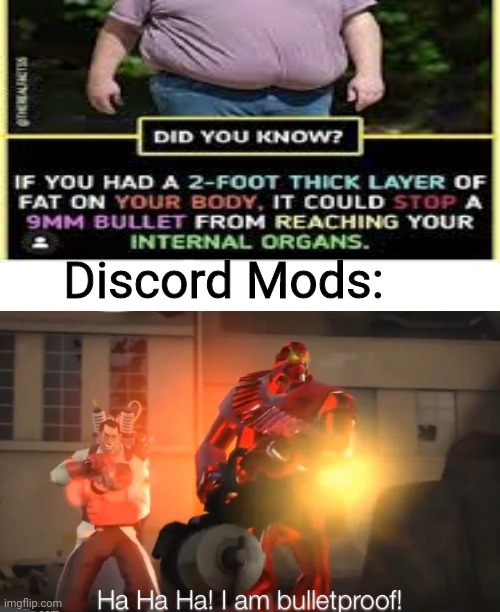 Discord Mods: | image tagged in discord,discord mods,tf2,team fortress 2 | made w/ Imgflip meme maker
