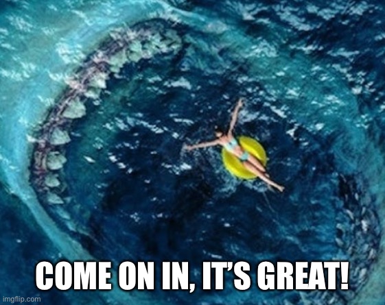 Waters great! | COME ON IN, IT’S GREAT! | image tagged in i yelled shark | made w/ Imgflip meme maker