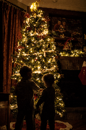 Santa is coming | image tagged in gifs | made w/ Imgflip images-to-gif maker