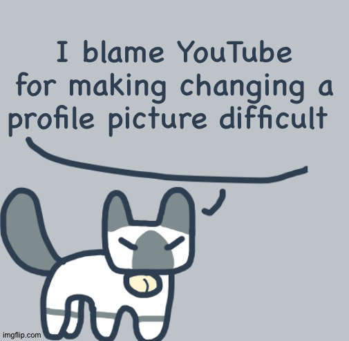 Cat | I blame YouTube for making changing a profile picture difficult | image tagged in cat | made w/ Imgflip meme maker