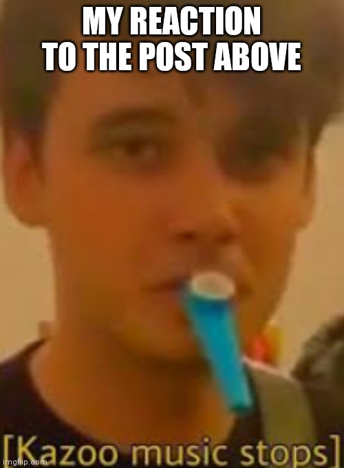 Kazoo music stops | MY REACTION TO THE POST ABOVE | image tagged in kazoo music stops | made w/ Imgflip meme maker