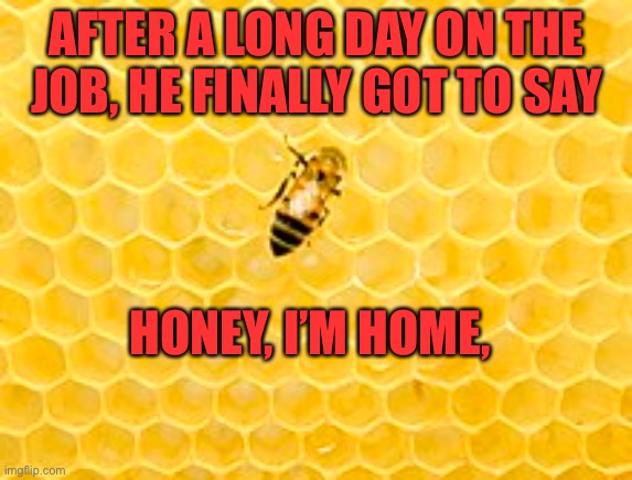 Worker bee | AFTER A LONG DAY ON THE JOB, HE FINALLY GOT TO SAY; HONEY, I’M HOME, | made w/ Imgflip meme maker