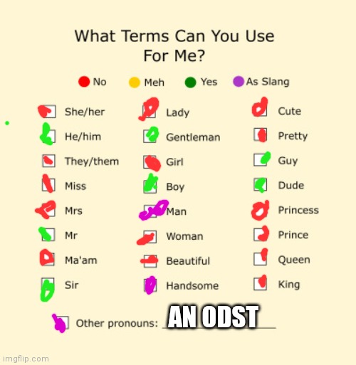 A | AN ODST | image tagged in pronouns sheet | made w/ Imgflip meme maker