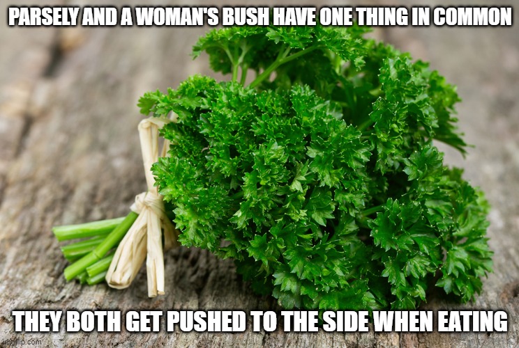 Eat Out | PARSELY AND A WOMAN'S BUSH HAVE ONE THING IN COMMON; THEY BOTH GET PUSHED TO THE SIDE WHEN EATING | image tagged in cunnilingus | made w/ Imgflip meme maker