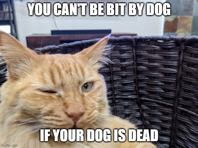 Bit by a dog eh? | YOU CAN'T BE BIT BY DOG; IF YOUR DOG IS DEAD | image tagged in you can't cat | made w/ Imgflip meme maker