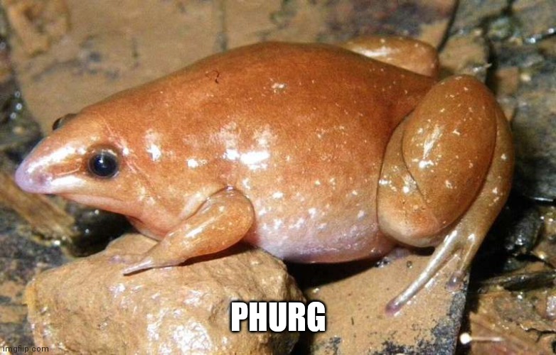 Phurg | PHURG | image tagged in phurg | made w/ Imgflip meme maker