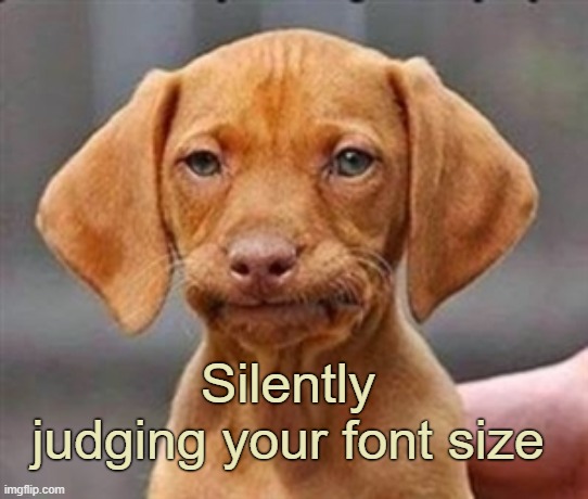 Frustrated dog | Silently judging your font size | image tagged in frustrated dog | made w/ Imgflip meme maker