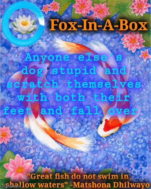 Anyone else's dog stupid and scratch themselves with both their feet and fall over | image tagged in fox-in-a-box fish temp | made w/ Imgflip meme maker
