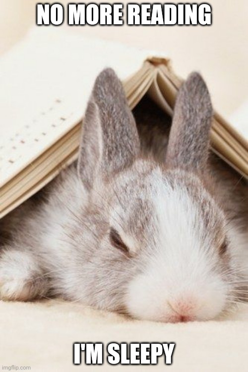 TIRED BUNNY | NO MORE READING; I'M SLEEPY | image tagged in bunny,rabbit | made w/ Imgflip meme maker