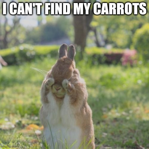 SAD BUNNY | I CAN'T FIND MY CARROTS | image tagged in bunny,rabbit | made w/ Imgflip meme maker