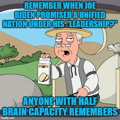 Remember when Democrats voted for Biden because Donald Trump was dividing the country? Sooo, what happened? | REMEMBER WHEN JOE BIDEN PROMISED A UNIFIED NATION UNDER HIS "LEADERSHIP?"; ANYONE WITH HALF BRAIN CAPACITY REMEMBERS | image tagged in memes,pepperidge farm remembers | made w/ Imgflip meme maker