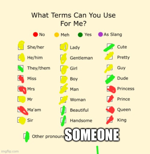 Pronouns | SOMEONE | image tagged in pronouns sheet | made w/ Imgflip meme maker