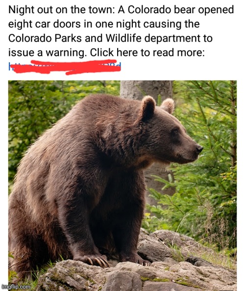 image tagged in funny | made w/ Imgflip meme maker