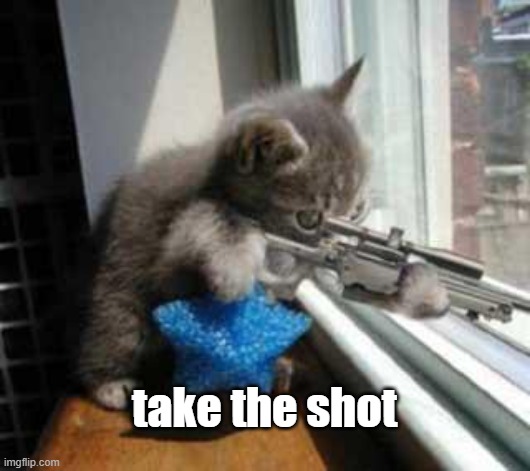 Cat Sniper | take the shot | image tagged in cat sniper | made w/ Imgflip meme maker