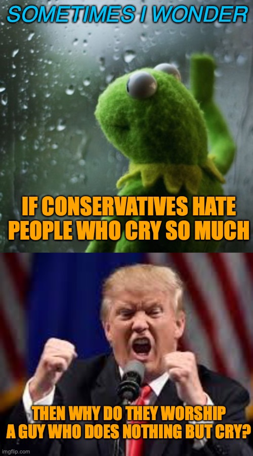 SOMETIMES I WONDER; IF CONSERVATIVES HATE PEOPLE WHO CRY SO MUCH; THEN WHY DO THEY WORSHIP A GUY WHO DOES NOTHING BUT CRY? | image tagged in sometimes i wonder,trump angry punch | made w/ Imgflip meme maker
