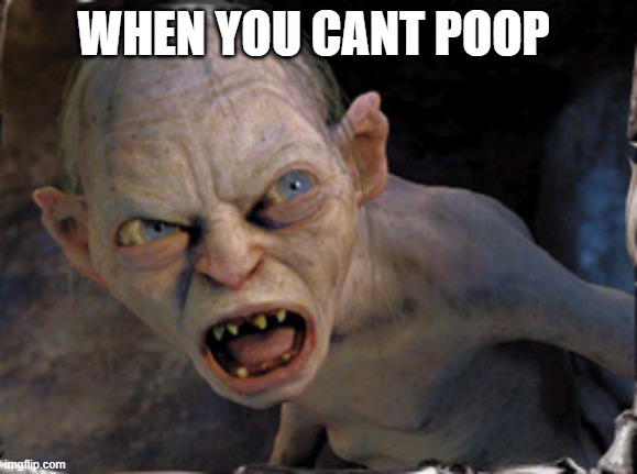 Gollum lord of the rings | WHEN YOU CANT POOP | image tagged in gollum lord of the rings | made w/ Imgflip meme maker