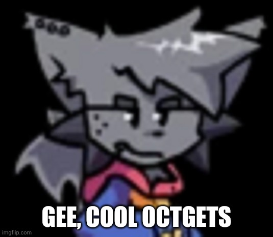 Kapi stare | GEE, COOL OCTGETS | image tagged in kapi stare | made w/ Imgflip meme maker