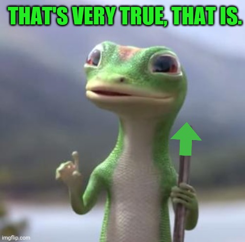 Geico Gecko | THAT'S VERY TRUE, THAT IS. | image tagged in geico gecko | made w/ Imgflip meme maker