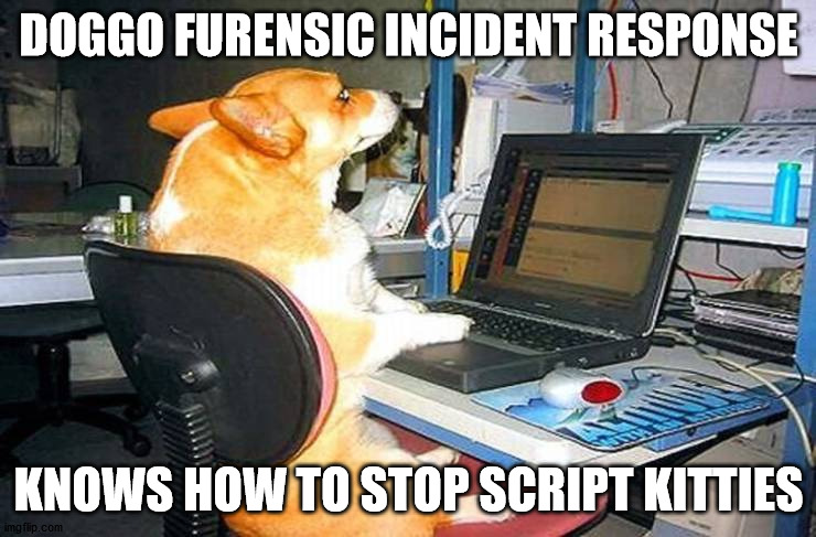 DOGGO FURENSIC INCIDENT RESPONSE; KNOWS HOW TO STOP SCRIPT KITTIES | made w/ Imgflip meme maker