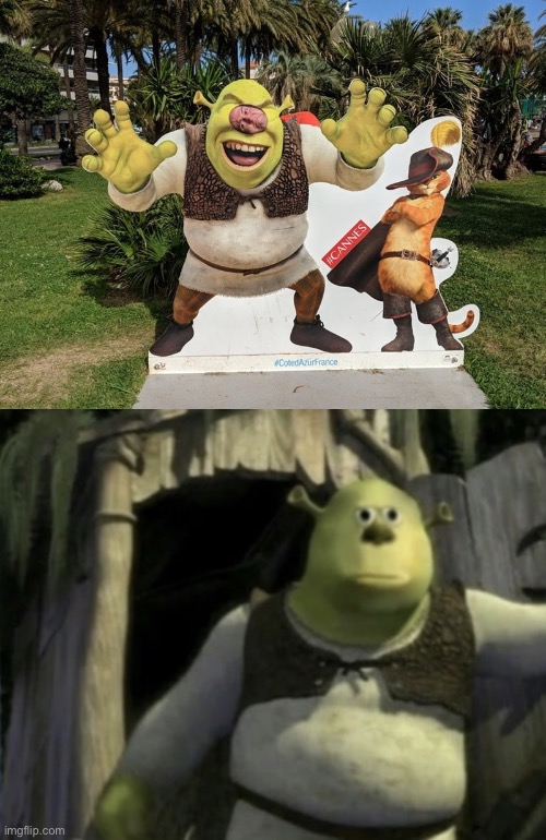 Shrek Funny Face GIFs