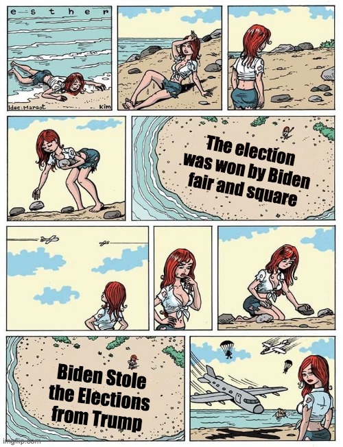 Extreme Republicans had to ruin it | The election was won by Biden fair and square; Biden Stole the Elections from Trump | image tagged in esther verkest's help sign blank | made w/ Imgflip meme maker