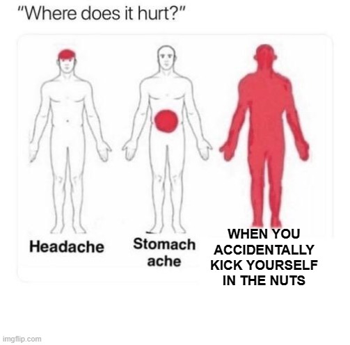 Beeg Oof | WHEN YOU ACCIDENTALLY KICK YOURSELF IN THE NUTS | image tagged in where does it hurt,memes | made w/ Imgflip meme maker