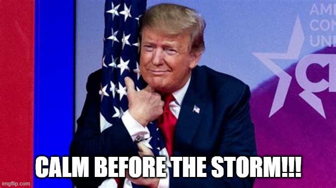Calm before the storm | CALM BEFORE THE STORM!!! | image tagged in president trump | made w/ Imgflip meme maker