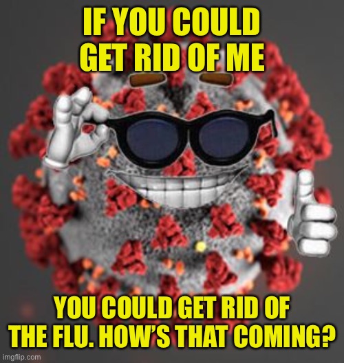 You can’t stop me if you can’t stop the flu | IF YOU COULD GET RID OF ME; YOU COULD GET RID OF THE FLU. HOW’S THAT COMING? | image tagged in coronavirus,flu,dr fauci,scammers,china virus,weird science | made w/ Imgflip meme maker