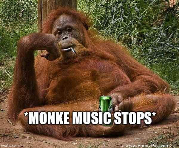 who asked | *MONKE MUSIC STOPS* | image tagged in who asked | made w/ Imgflip meme maker