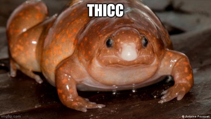 THICC | made w/ Imgflip meme maker