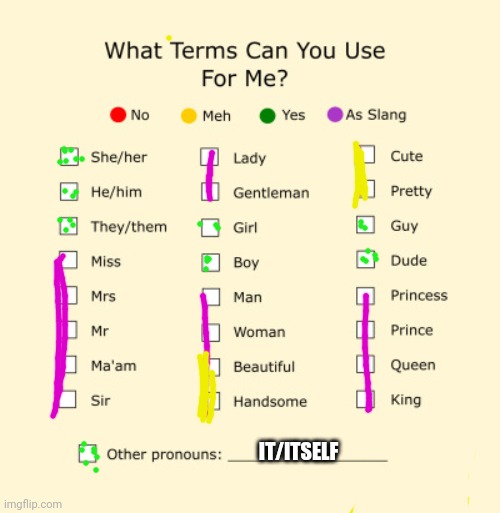 Literally i do not care- | IT/ITSELF | image tagged in pronouns sheet | made w/ Imgflip meme maker