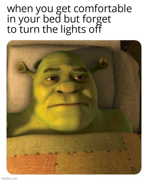 when you | image tagged in shrek,sleep | made w/ Imgflip meme maker