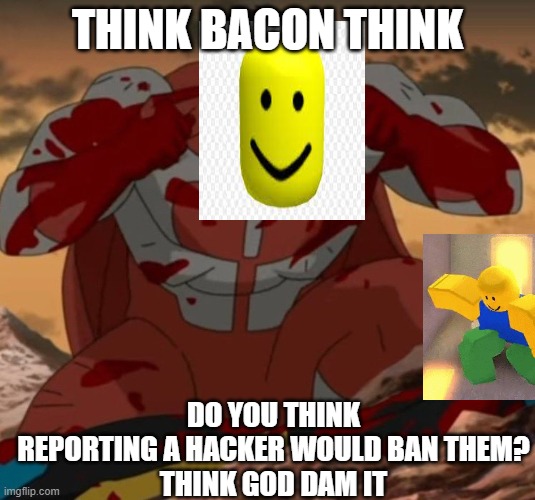 THINK GOD DAM IT ROBLOX NOOB #8219 | THINK BACON THINK; DO YOU THINK REPORTING A HACKER WOULD BAN THEM?
THINK GOD DAM IT | image tagged in think mark think,roblox | made w/ Imgflip meme maker