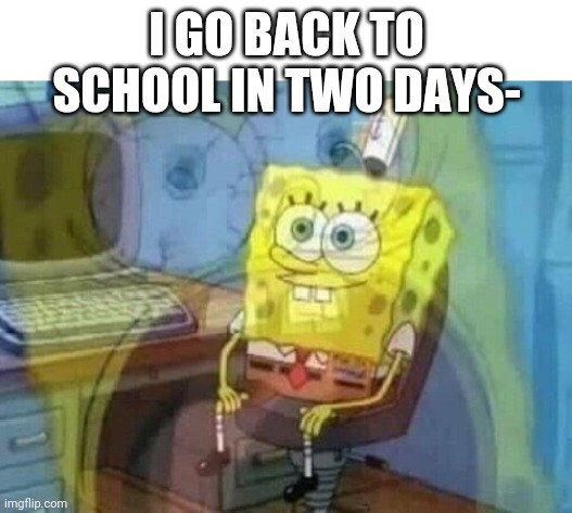 Internal screaming | I GO BACK TO SCHOOL IN TWO DAYS- | image tagged in internal screaming | made w/ Imgflip meme maker