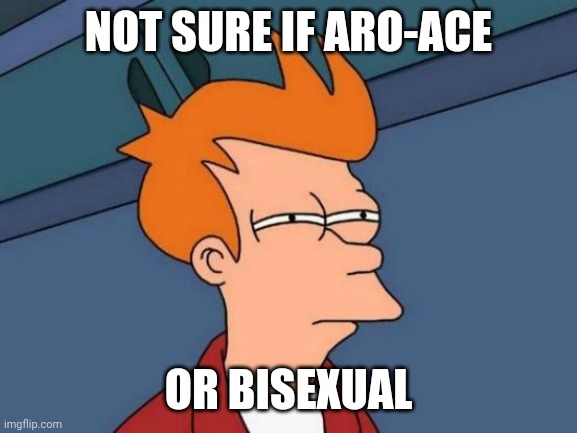 I can't decide. I like boys and girls, but at the same time, I cringe at the thought of romantic relationships. | NOT SURE IF ARO-ACE; OR BISEXUAL | image tagged in memes,futurama fry | made w/ Imgflip meme maker