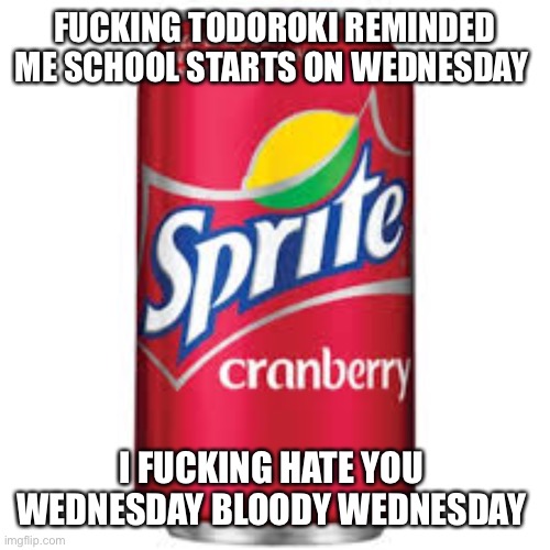 Also the last part is a u2 reference | FUCKING TODOROKI REMINDED ME SCHOOL STARTS ON WEDNESDAY; I FUCKING HATE YOU 
WEDNESDAY BLOODY WEDNESDAY | image tagged in sprite cranberry | made w/ Imgflip meme maker