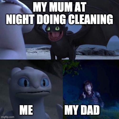 This is all true... | MY MUM AT NIGHT DOING CLEANING; ME               MY DAD | image tagged in toothless meme | made w/ Imgflip meme maker